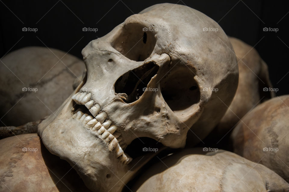 Skulls on show for the public at a local museum in Sweden.