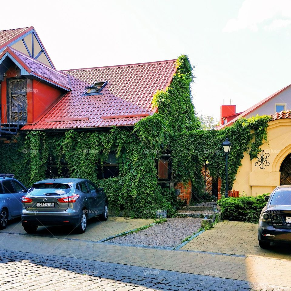 A house shrouded in greenery