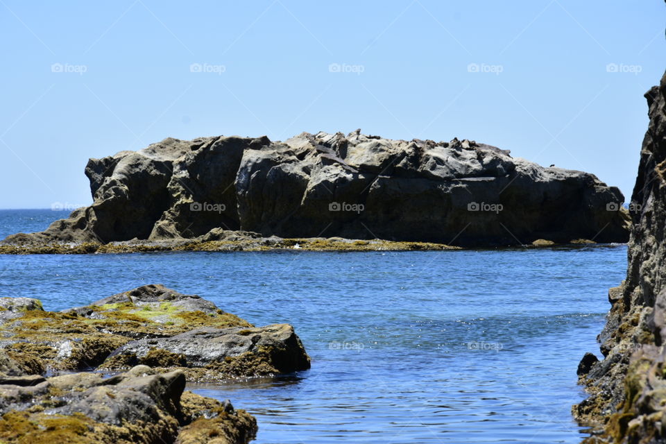 Sea and stones