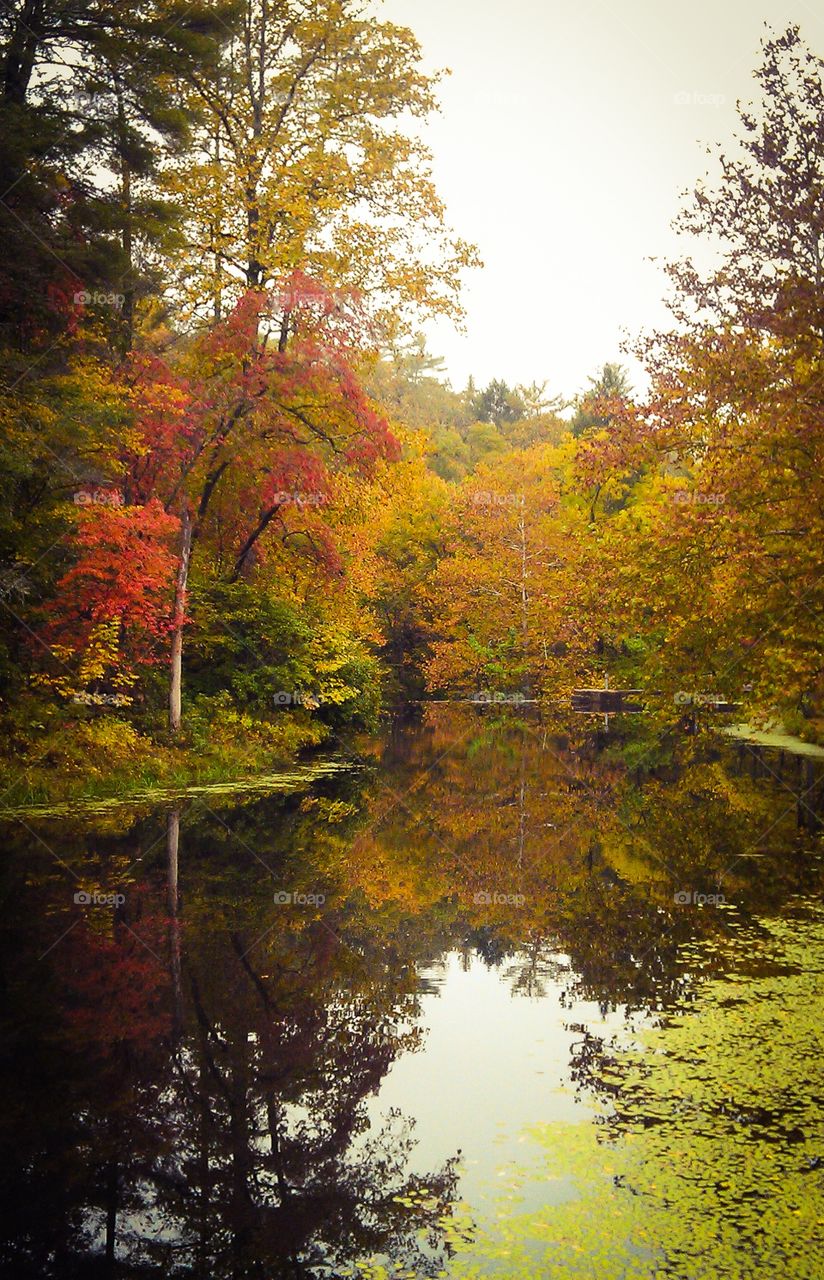 Fall Fantasy. An amazing Fall day on a mountain river, in the colorful splendor of the Autumn season