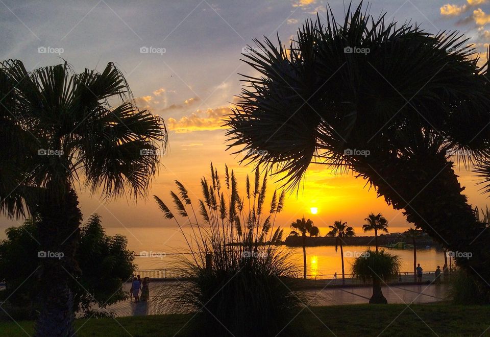 Scenic view of beach at sunset