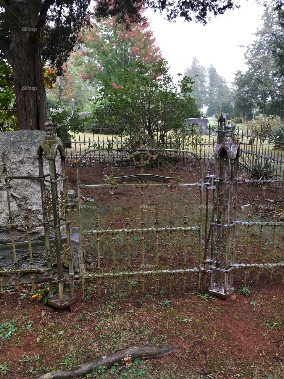 Victorian Iron fence