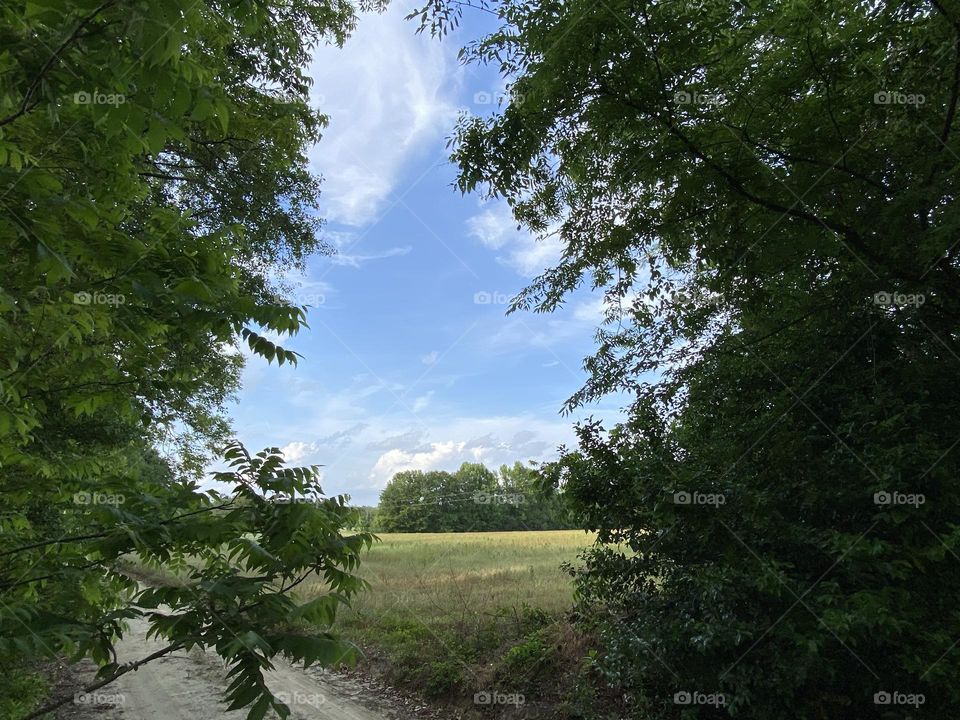 A beautiful day to take a walk 