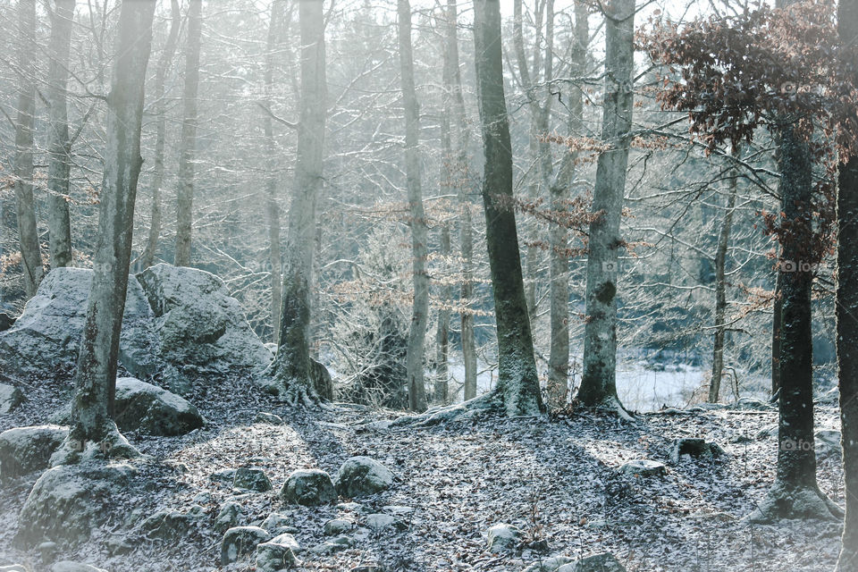 Winter in Skåne