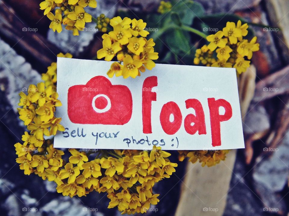 foap - sell your photos