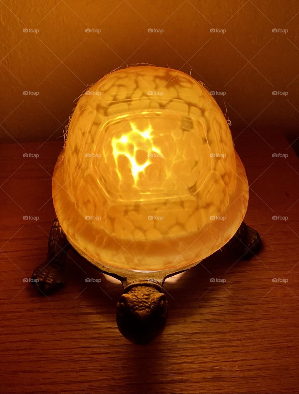 Turtle light
