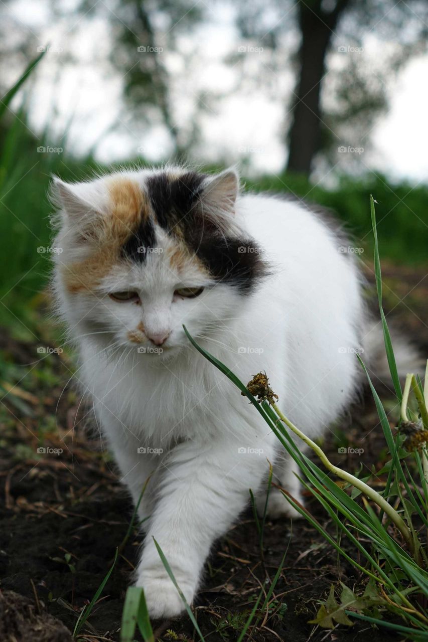 discovering the world