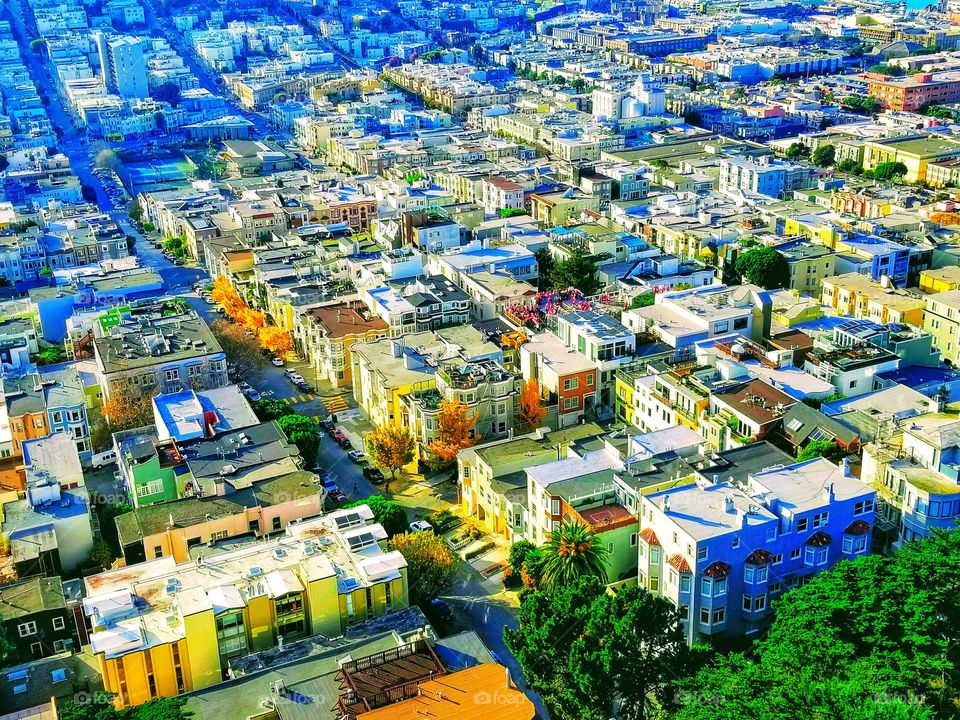 SAN FRANCISCO|california