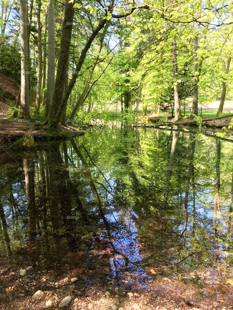Steibachweiher 