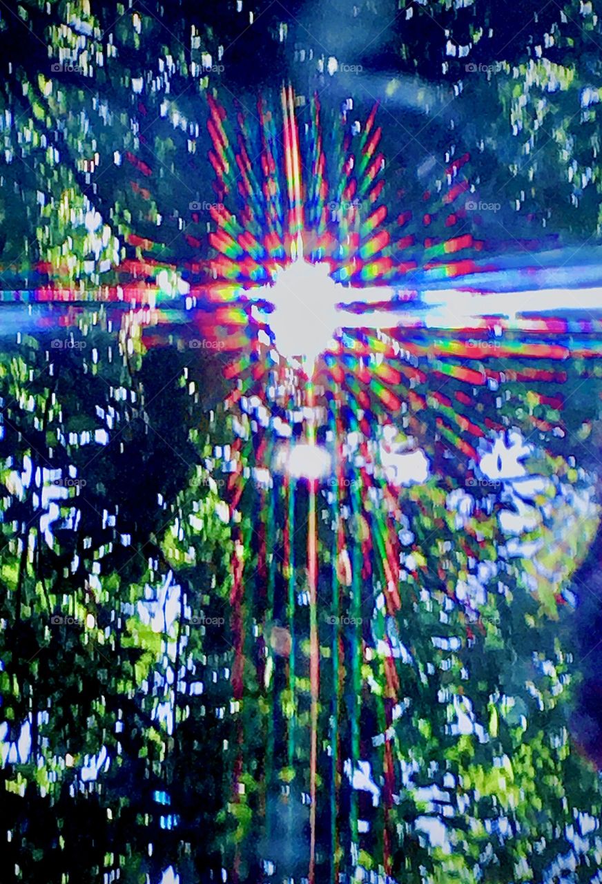 A rainbow color refraction effect happened when the sunlight was filtered through the leafage of this lush green tree in a park in Bushwick, Bklyn in either Spring or the summertime of 2018. The patterning is likely due to digitalization. Hypnotic Pr