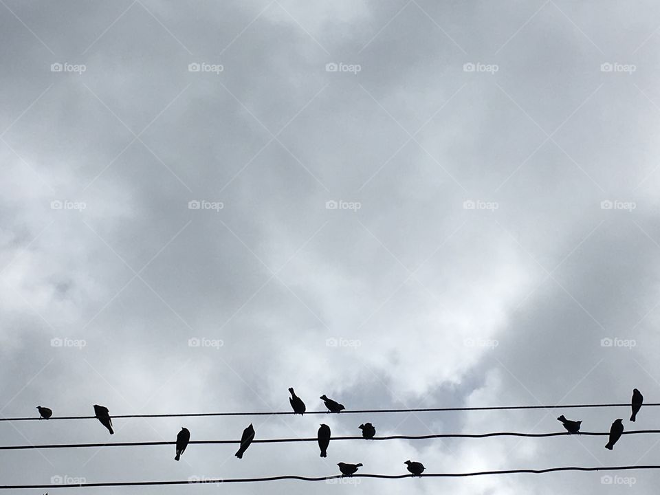 Silhouettes on a cloudy day