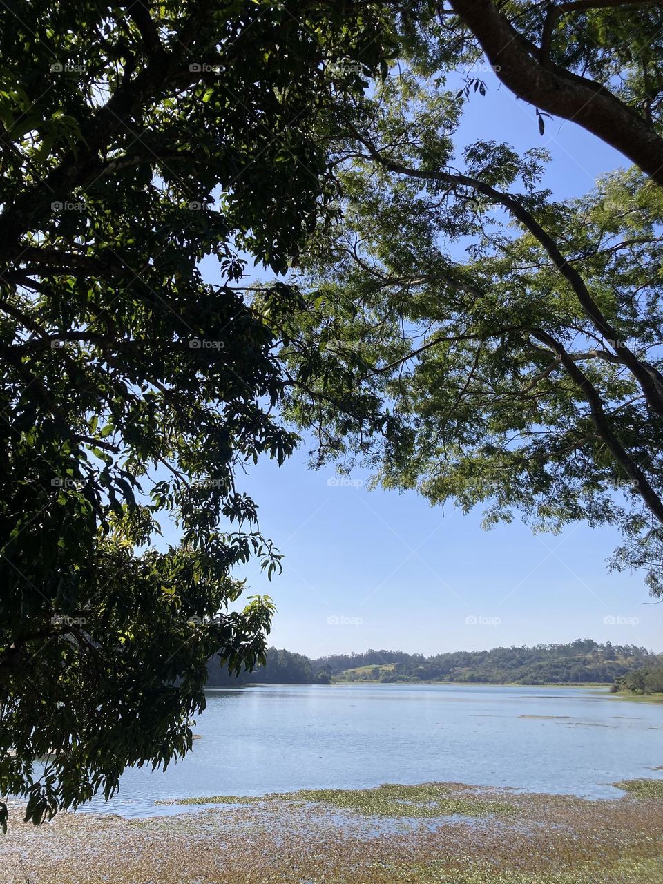 A beleza do Parque da Cidade, em Jundiaí.
Por quê estar à beira da água nos relaxa?
📸
#FOTOGRAFIAéNOSSOhobby
#sky #céu #natureza #horizonte #fotografia #paisagem #landscapes #inspiração #mobgrafia #XôStress #lake #lago