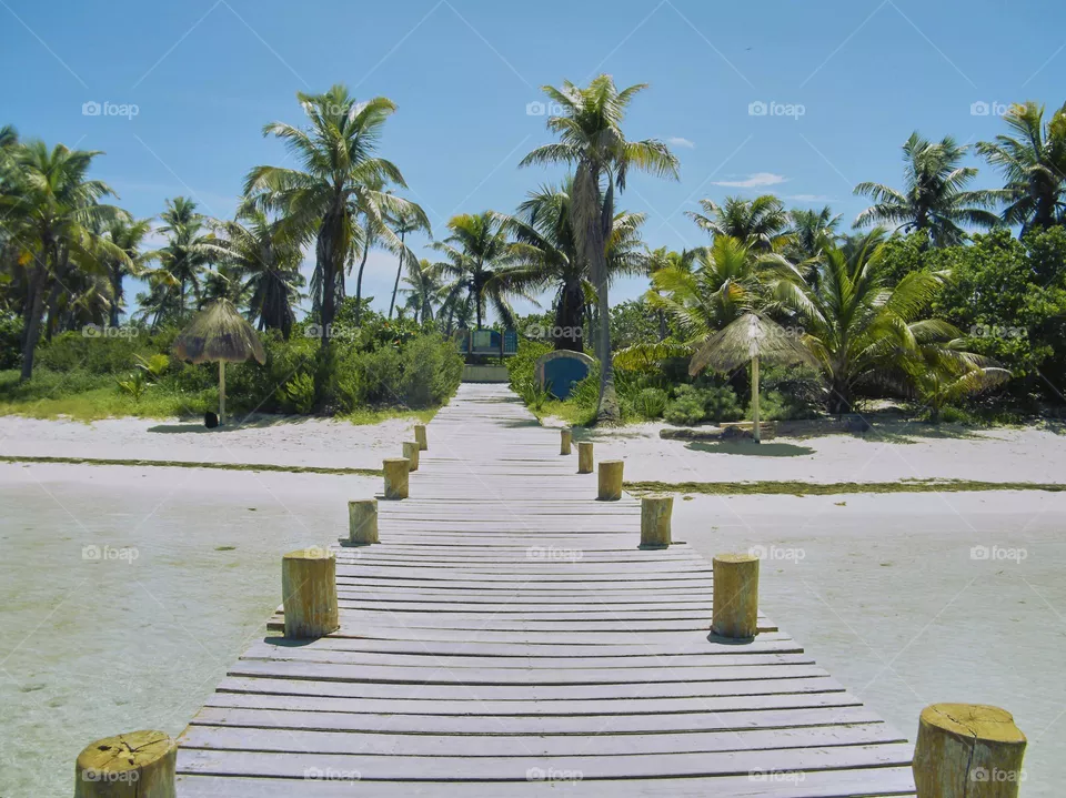 camino de madera en un embarcadero hacia playa paradisíaca solitaria con selva de fondo
