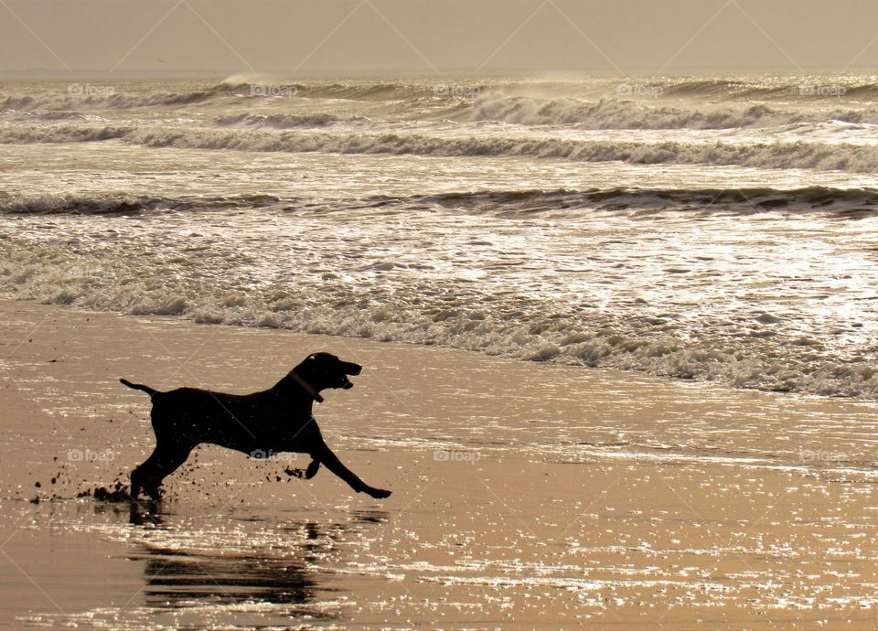 On the beach