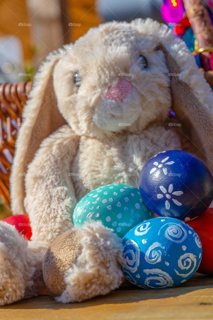 Easter time,bunny (toy) and eggs.
