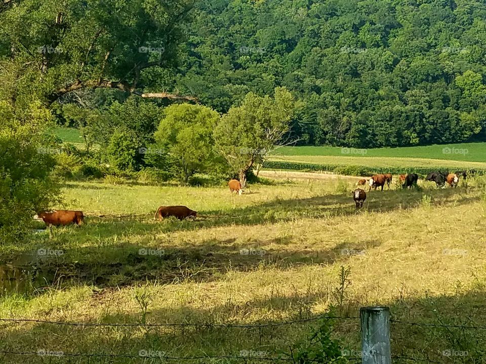 Driving the Back Roads and enjoying everything around us