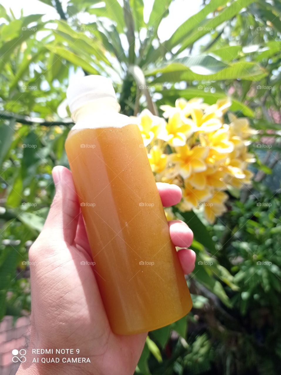 Jamu (Indonesian Traditional Drink)