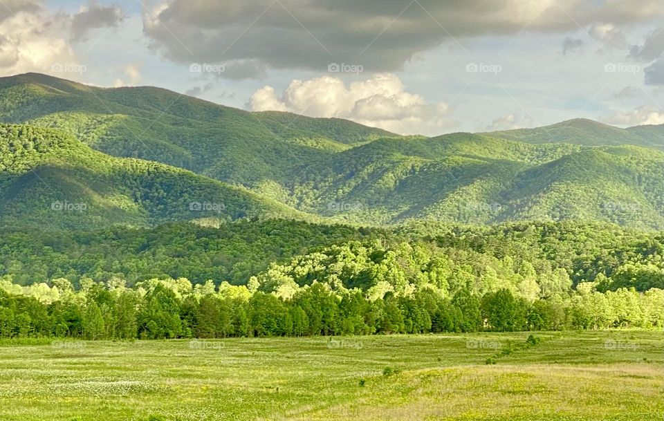 Blue Ridge Mountains