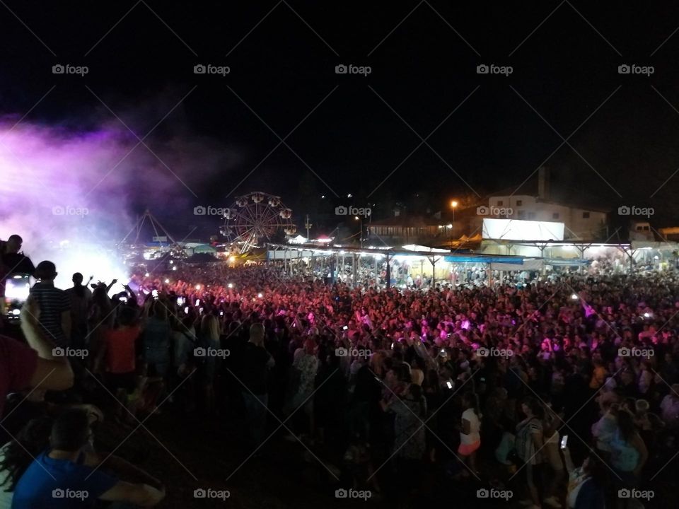 Concert Crowd