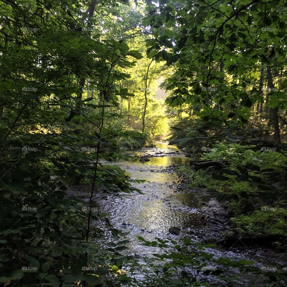 What comes easy won't last. What lasts won't come easy. A great 10 mile run even though it was incredibly hot and humid this morning. 
