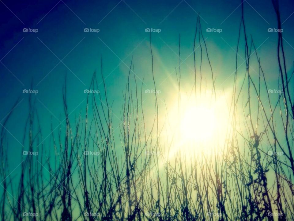 Sun