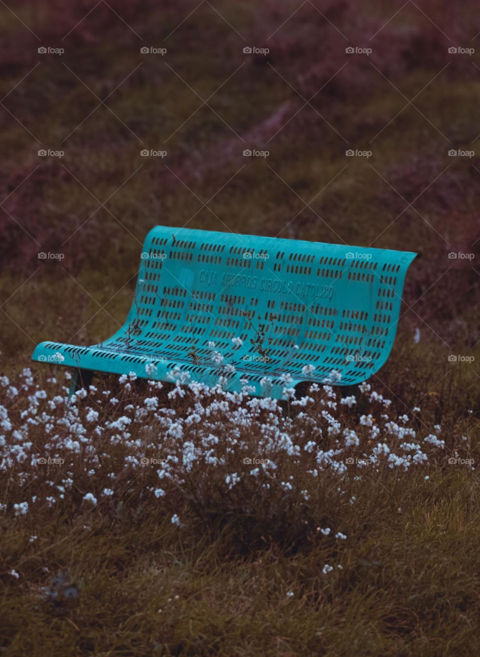 an azure bench with flowers stands in a field