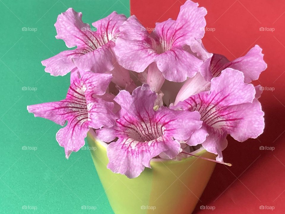 Vaso verde claro com flores levemente roxas em frente a uma parede artificial de cor verde e vermelha.