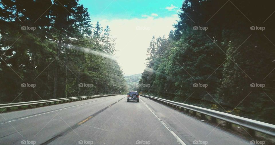 Travel, Explore, Discover, Country Road Through Lush Evergreen Forests, Olympic Peninsula, Washington, USA