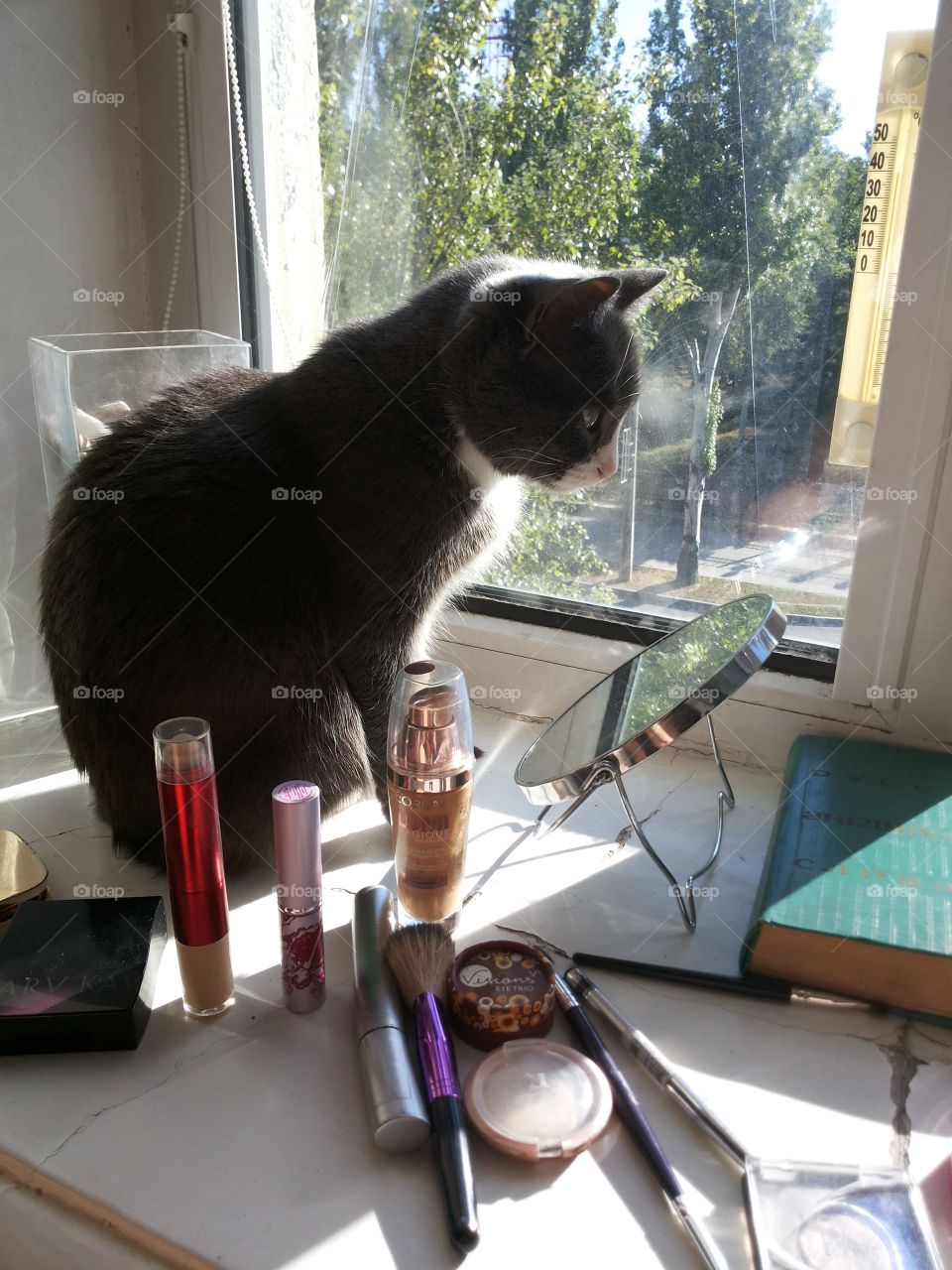 Кошка с косметикой смотрит в зеркало. 
The cat and the mirror