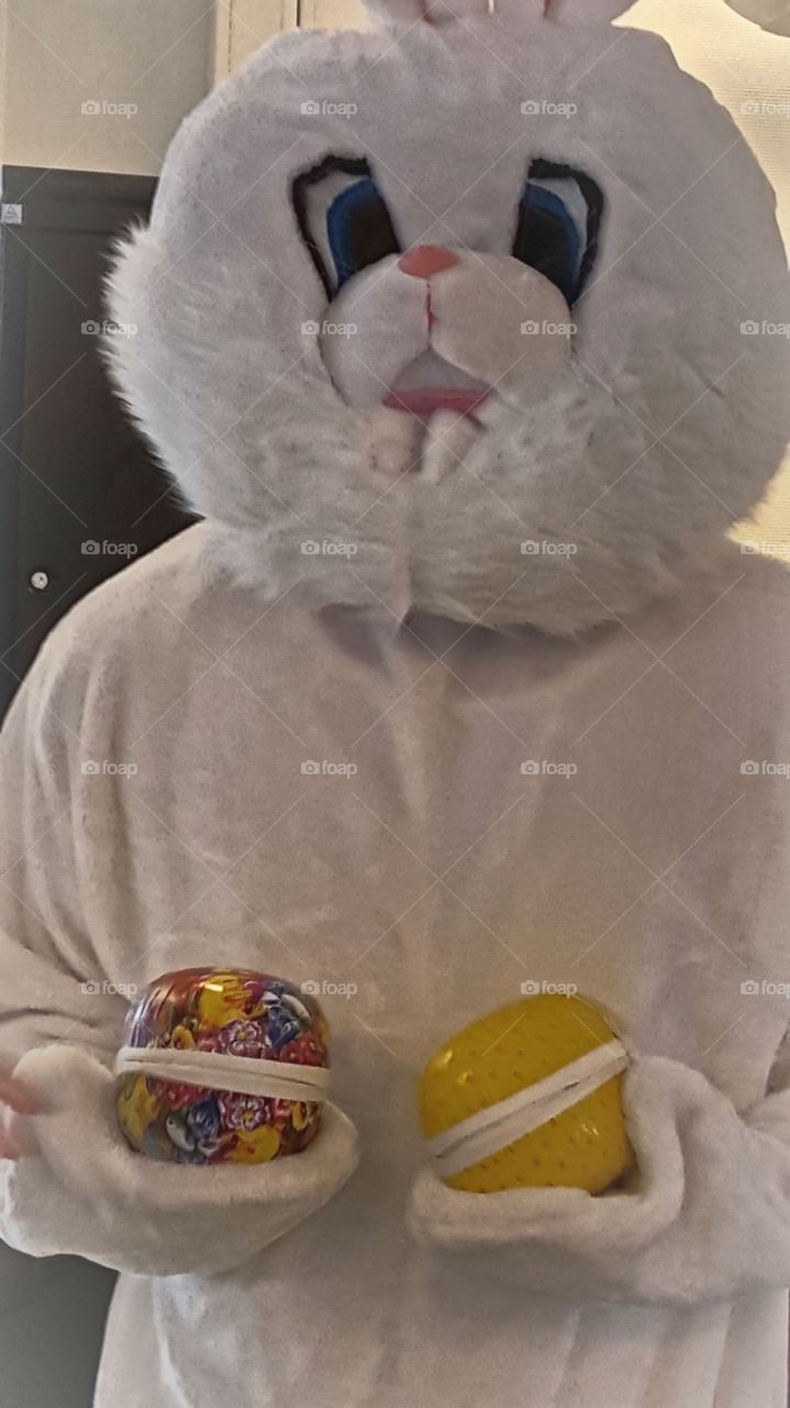 People, No Person, Adult, Woman, One