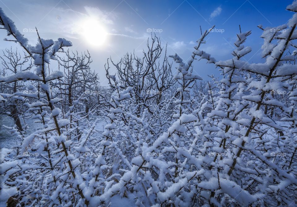 signs of winter