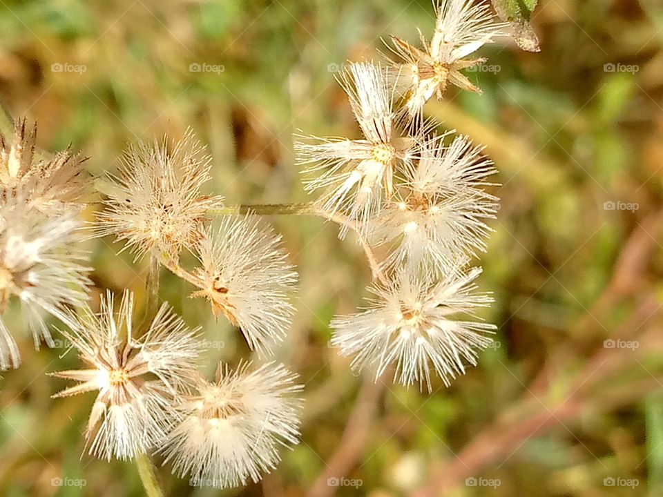 I'm in charge of how I feel and today I choose happiness