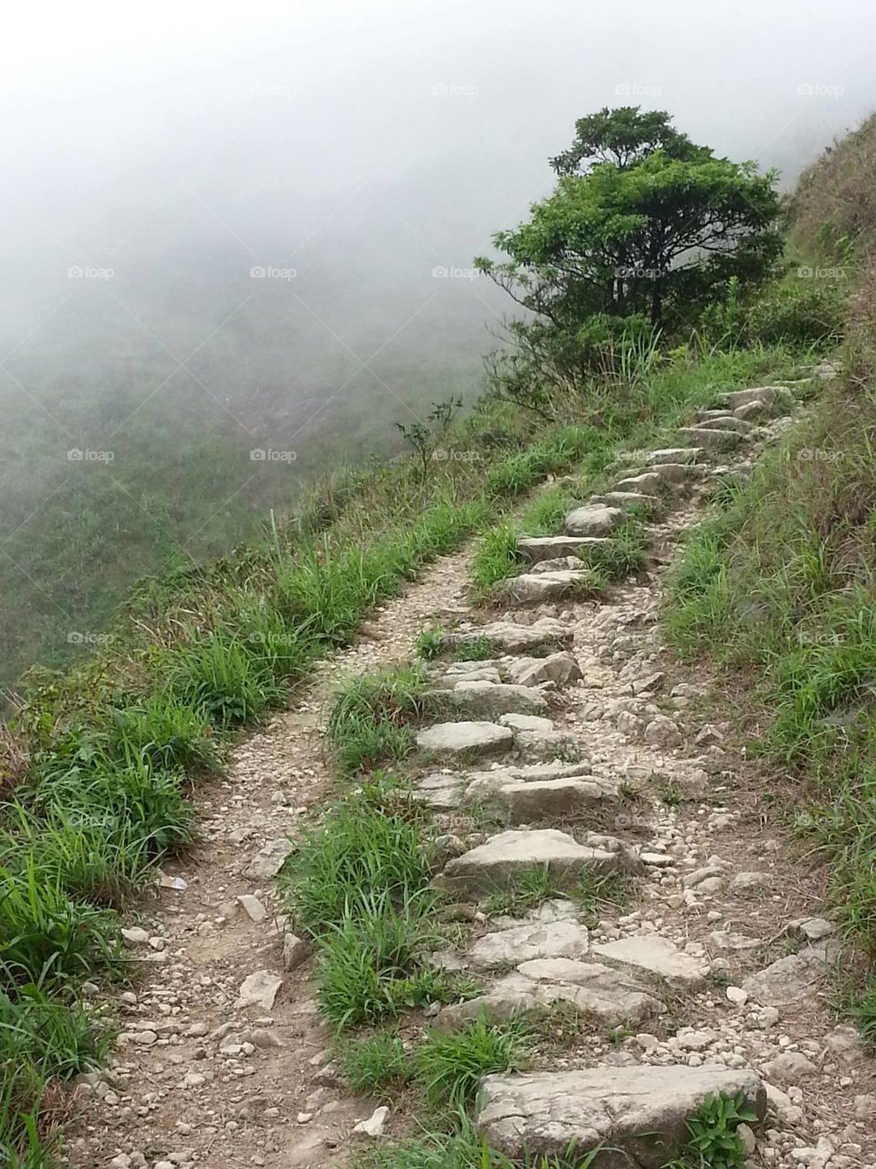 Lantau Mountain Hiking Trail
