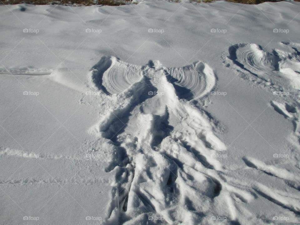 Snow Angel. Last winter, we had amazing snow at my cabin in the Spanish Peaks of Colorado. Remembering my childhood, I fell back into a Blanket of the gorgeous snow, rotated my arms up and down and when I stood up, this lovely lady appeared.
