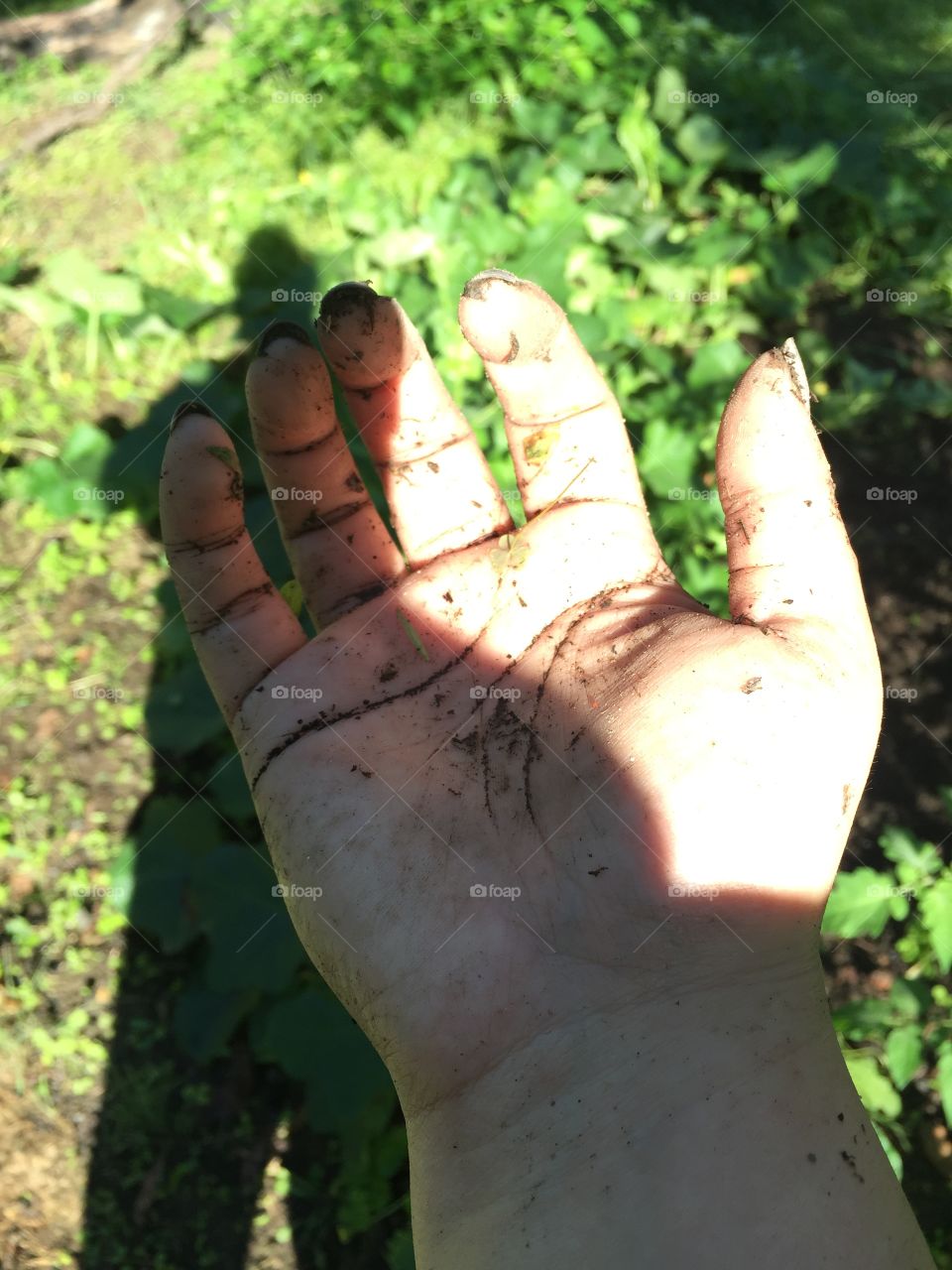 Hand covered in dirt from gardening. 