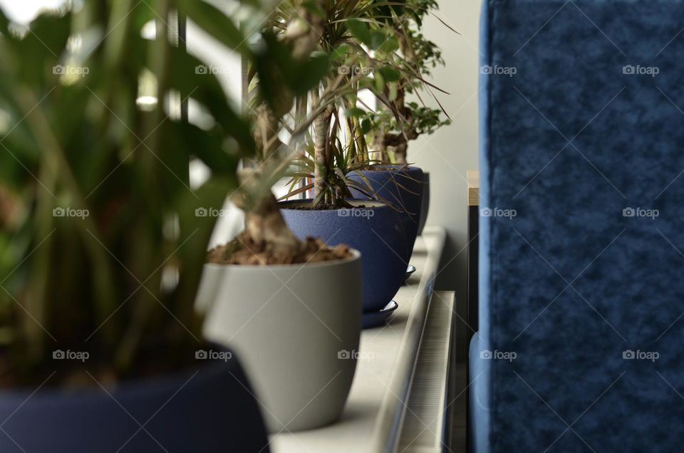 Interior element of a cafe