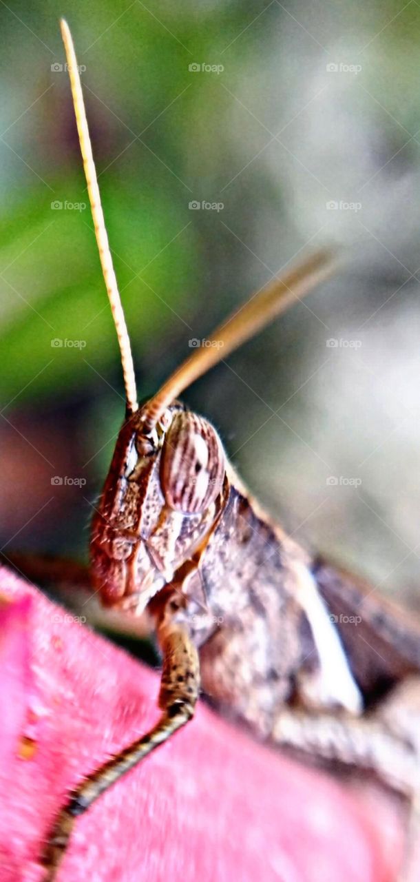 Upload your Photo of the Week