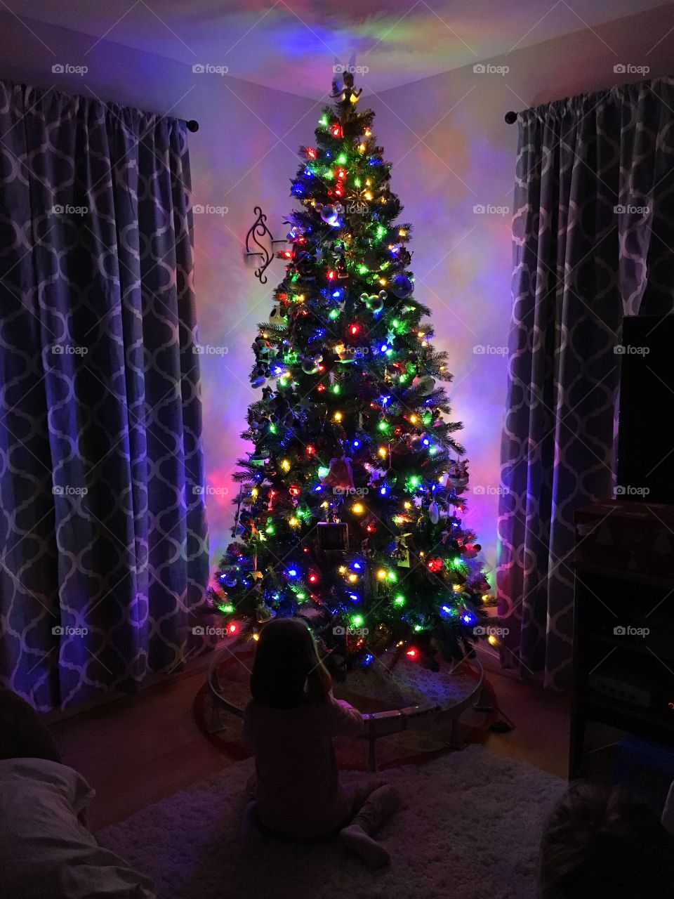 Christmas, Celebration, Winter, Light, Christmas Tree