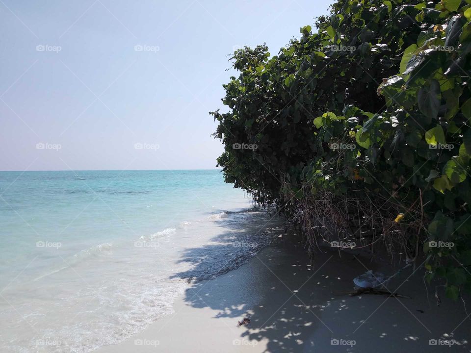 beach in island