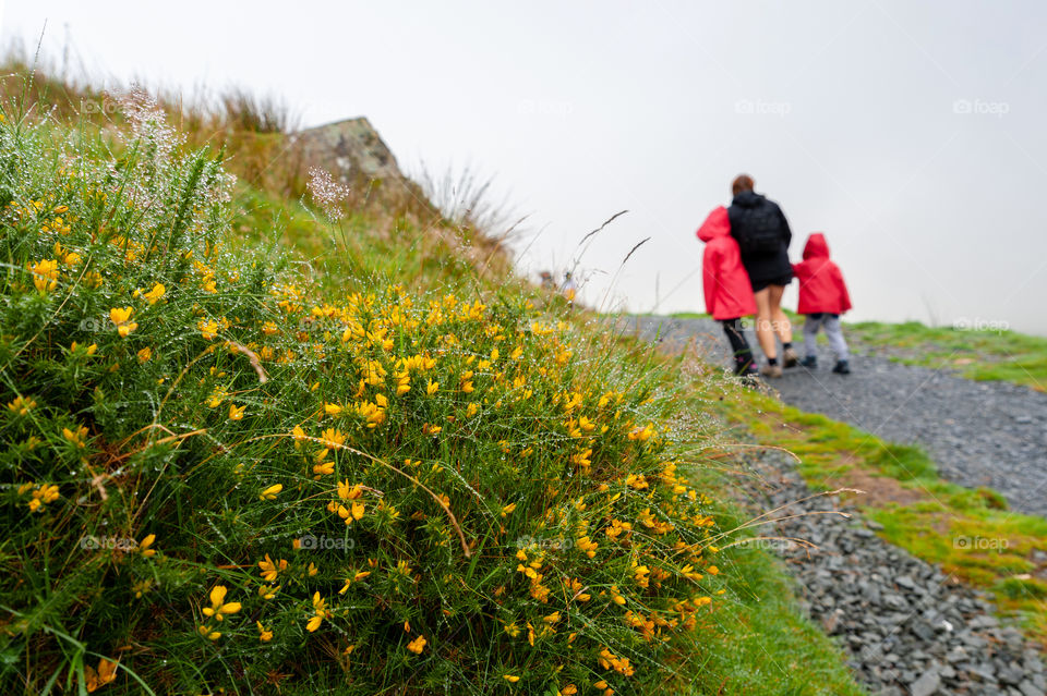 In the outdoors during rainy day.