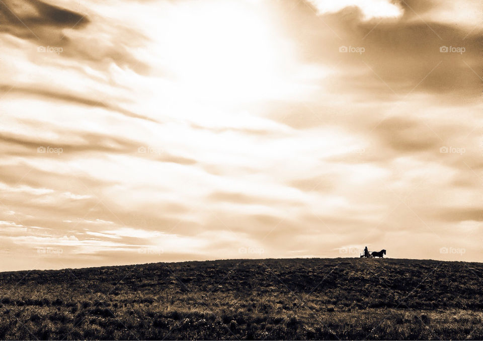 HORSE SILHOUETTE