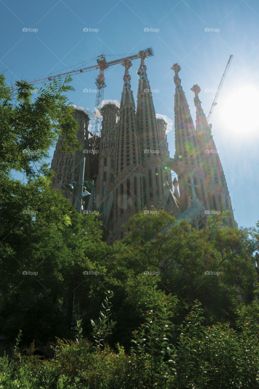 The mighty Sagrada Familia by Antoni Gaudi.
Behind trees, reflected in the streams and in the foreground is always a majestic architecture.