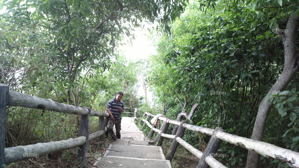 climb on the papuma beach