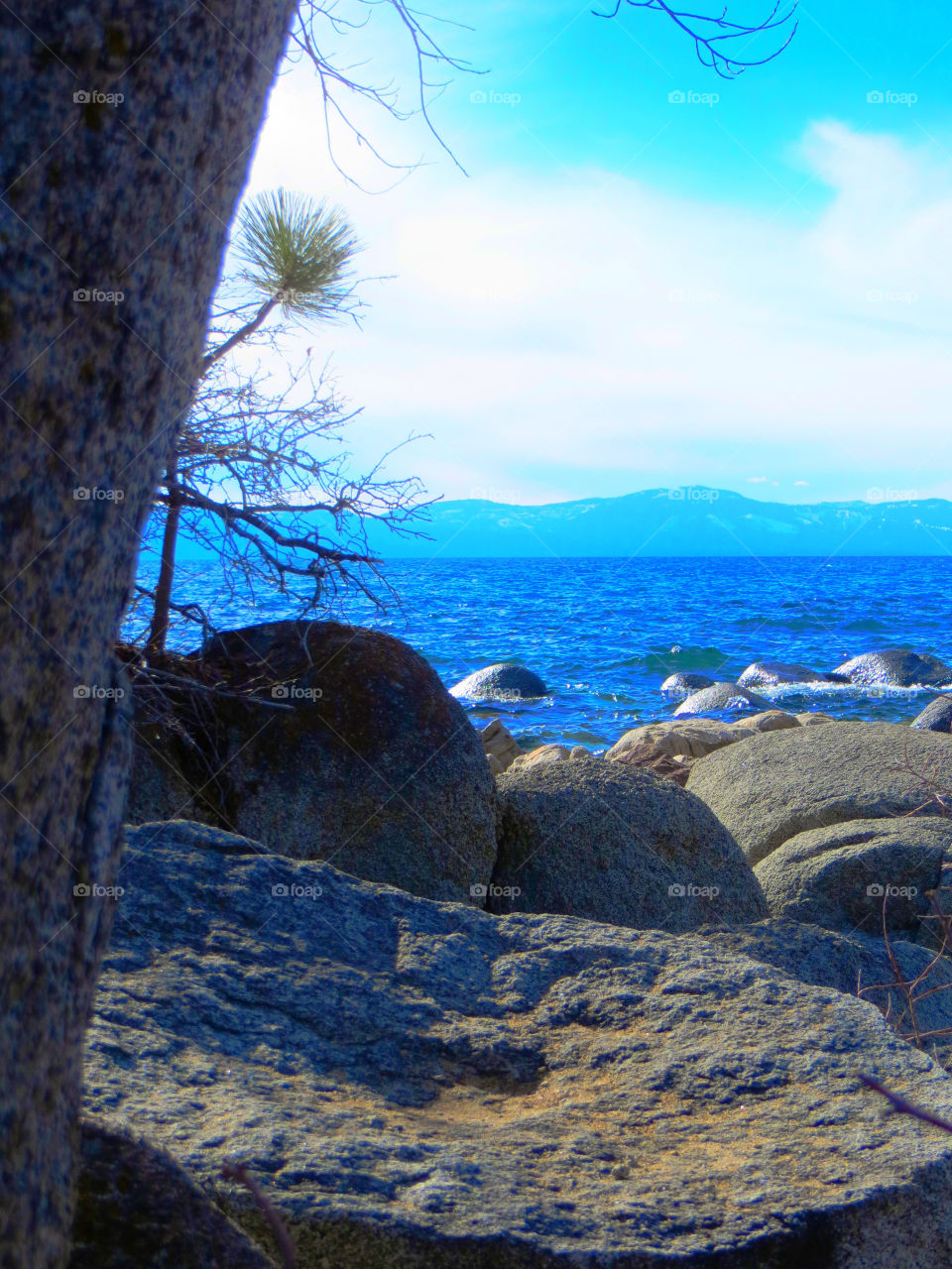 Tahoe Views