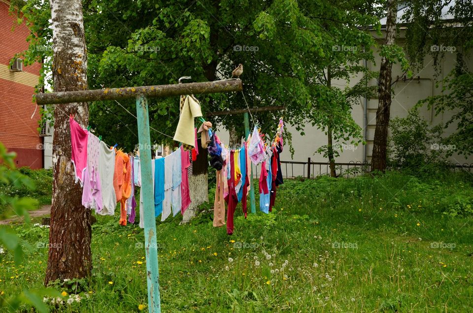 Clothes on the rope