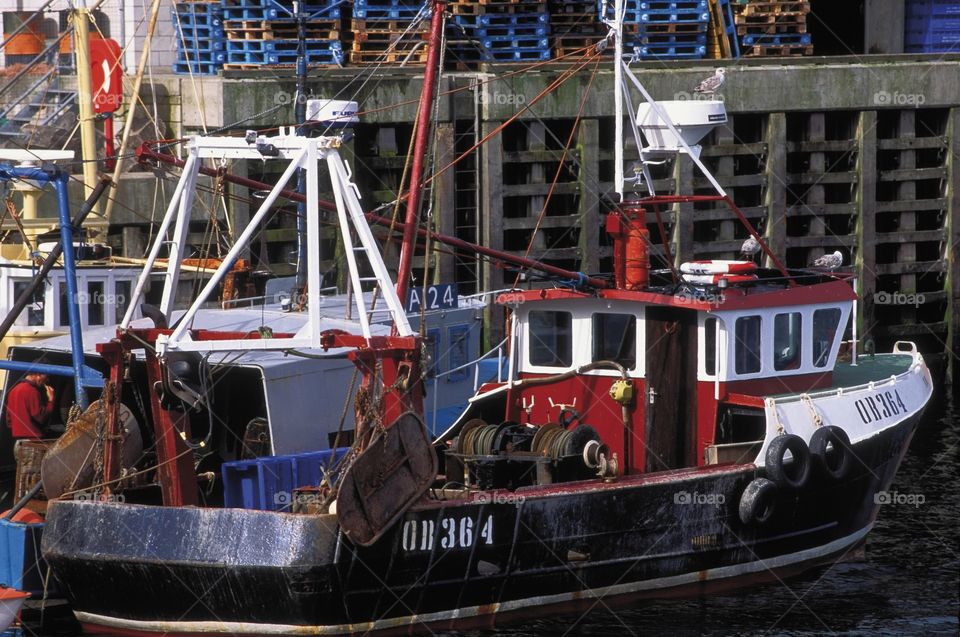 Trawler. Fishing boats 