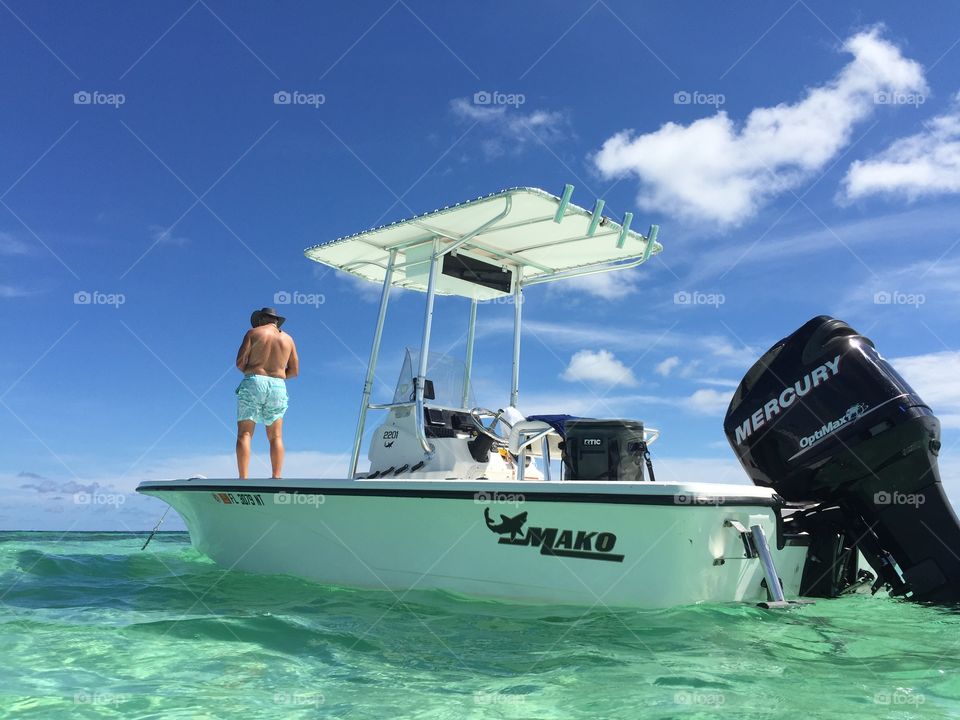 Mako  at sandbar 