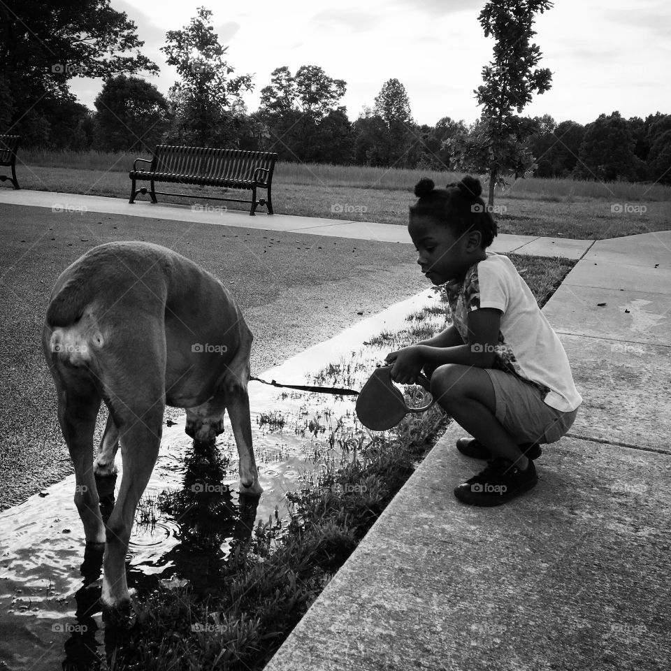 Little girl named Santana fell in love with my Izzy tonight at the park. She said "I'm just gonna sit here until she gets enough water. She is a healthy dog. " Santana I love you and your name.