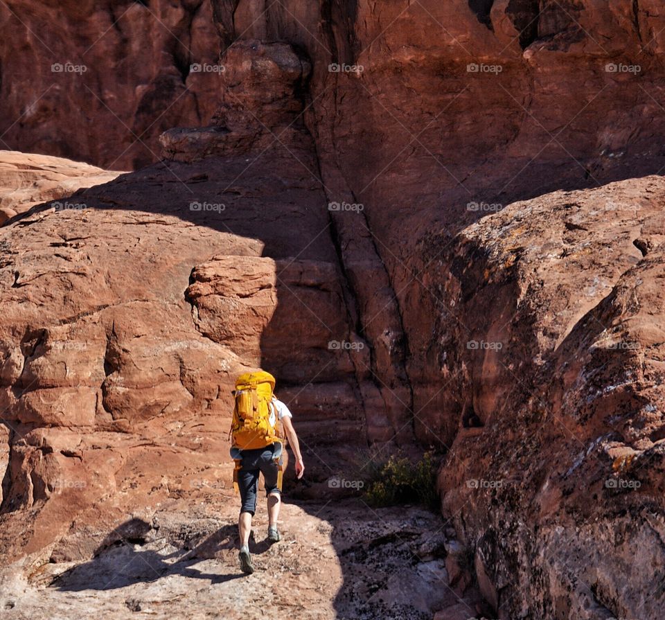 Hiking in the Canyon