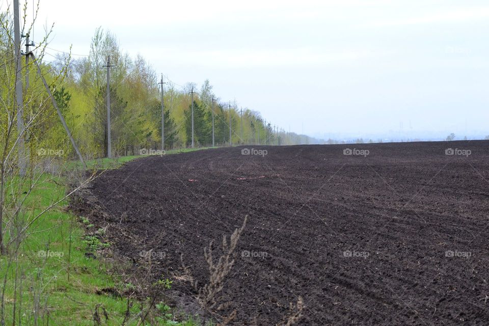 Ploughed field
